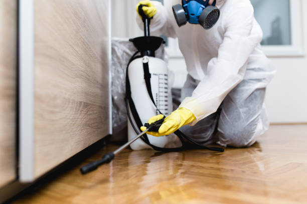 Best Best Pest Control Near Me  in East Franklin, NJ