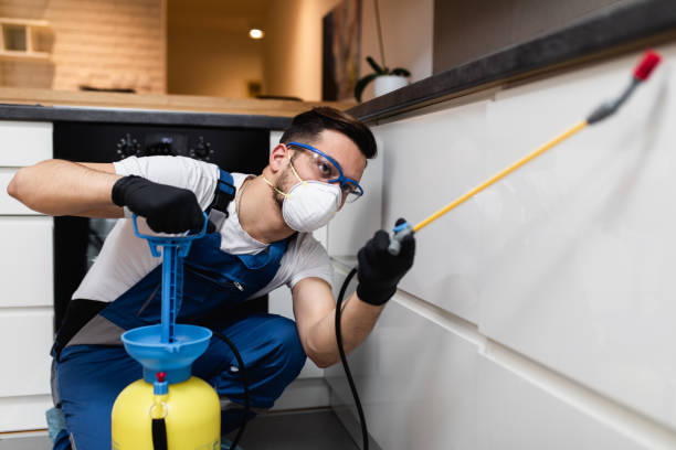 Best Mosquito Control Services  in East Franklin, NJ