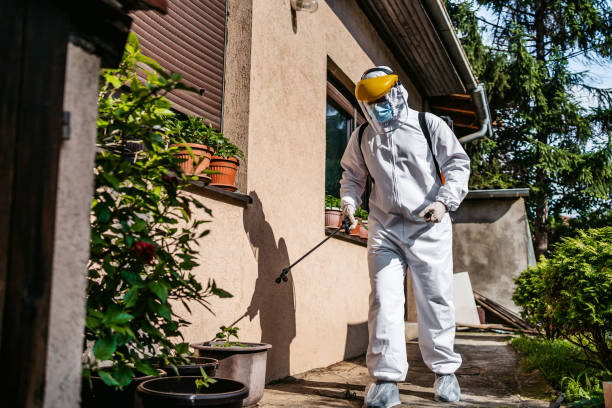 Best Wildlife Control Services  in East Franklin, NJ