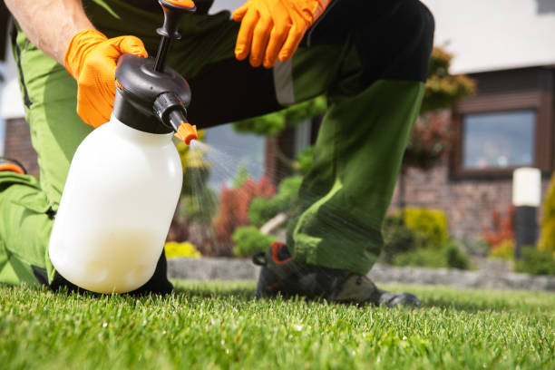 Best Rat Extermination Near Me  in East Franklin, NJ