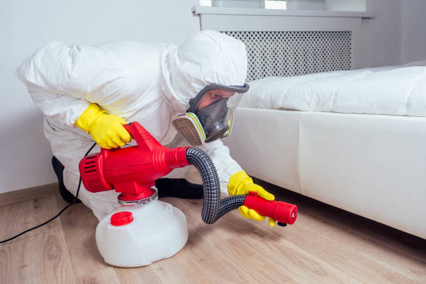 Best Emergency Pest Control  in East Franklin, NJ