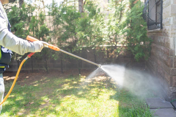 Best Termite Control Services  in East Franklin, NJ