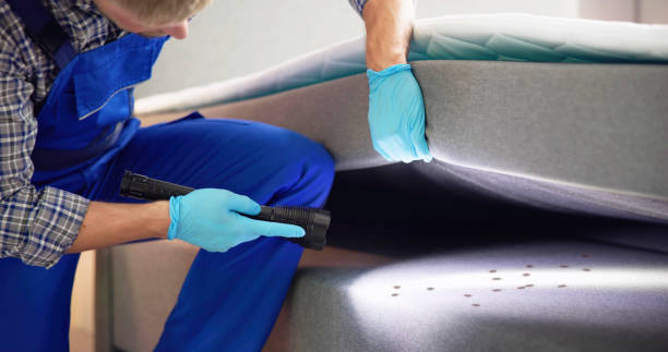 Best Best Pest Control Companies  in East Franklin, NJ