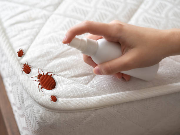 Best Pest Control Near Me in East Franklin, NJ